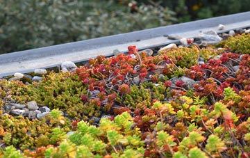 the cost of Spacey Houses green roof installation